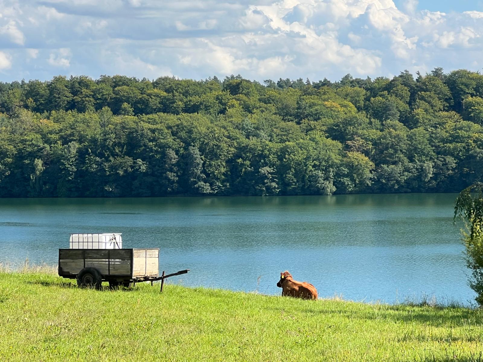 Seen und Natur rund um Łączyno