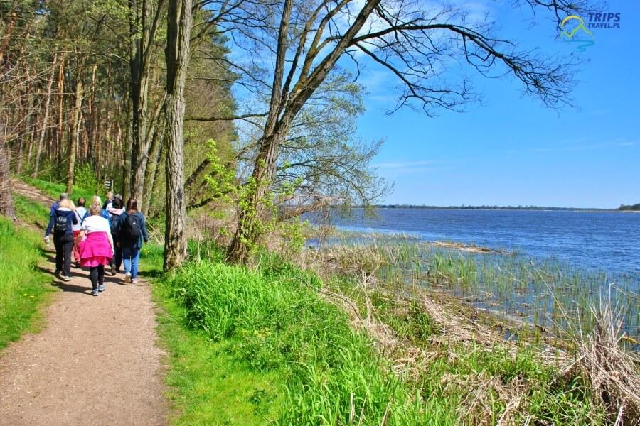 Natur am Gołuń-See